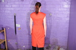 Red Dress Custard